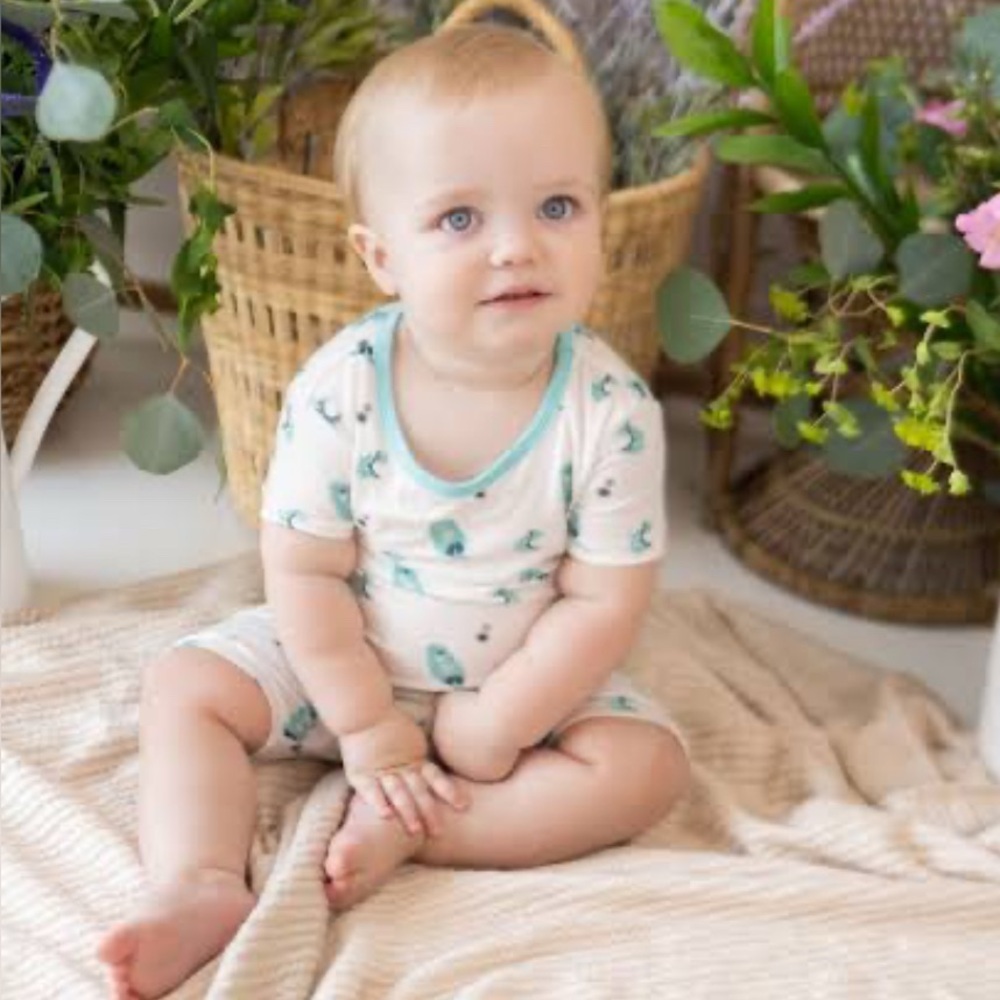 Kyte Baby Short Pajama Set in Robin Cuddle, size 2T